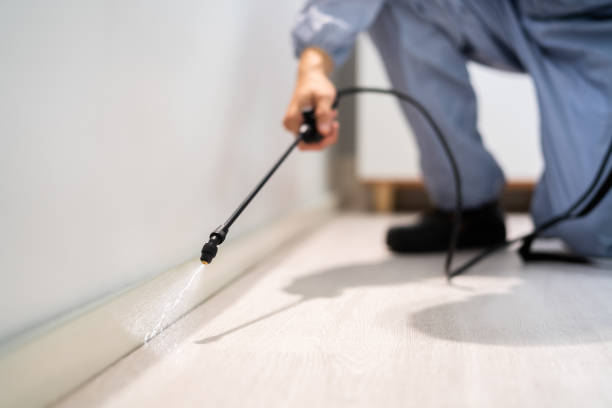 Licensed Termite Control service in Jackson, MI - Nex Pest Control