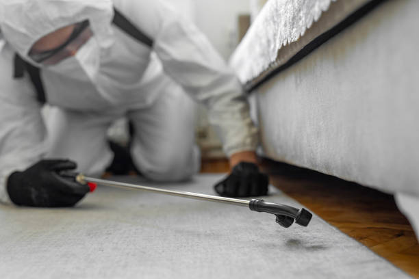Professional Termite Control technician working in Jackson, MI