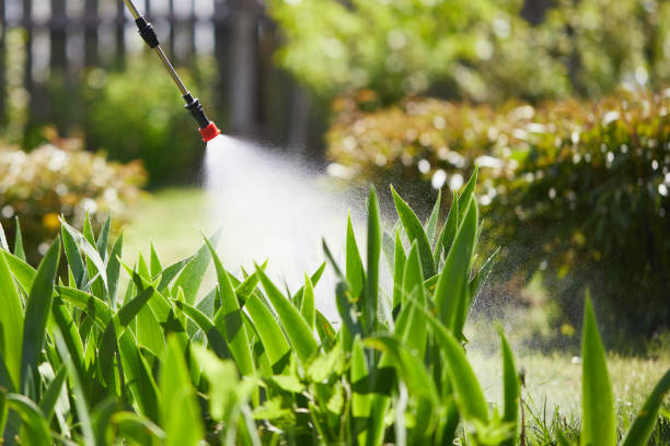 24/7 Emergency Termite Control experts in Jackson, MI