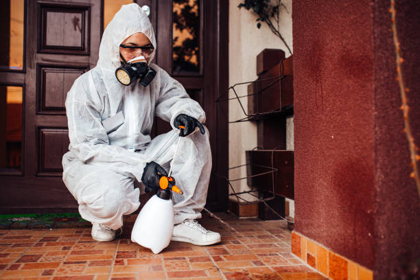 Reliable Termite Control contractor in Jackson, MI by Nex Pest Control
