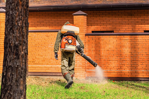 Top rated local Termite Control specialists in Jackson, MI